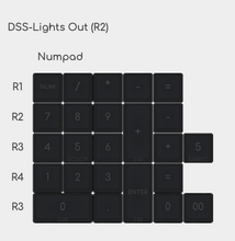 Load image into Gallery viewer, DSS-Lights Out R2