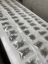 Load image into Gallery viewer, Gazzew Springs